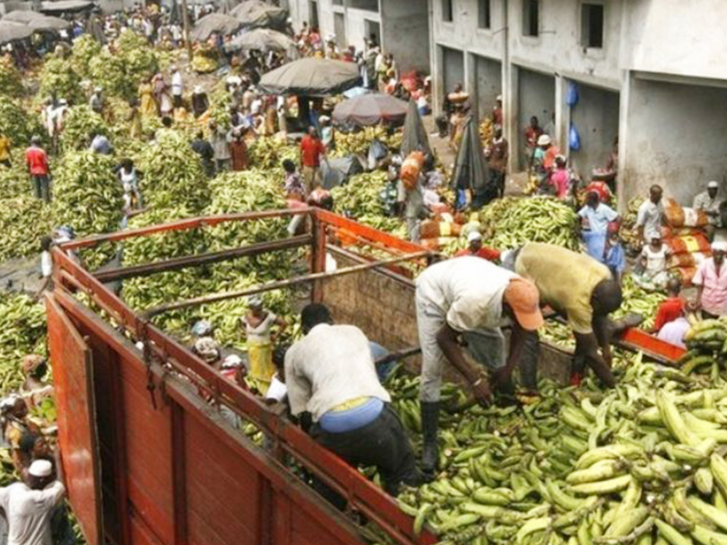 Ravitaillement du marché Gouro.